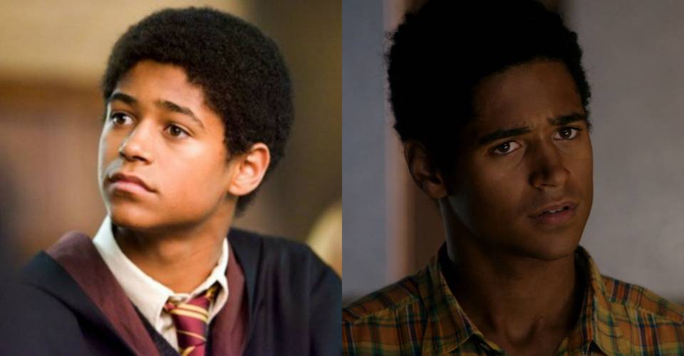 Harry Potter 10 Actors You Forgot Were In The Movies