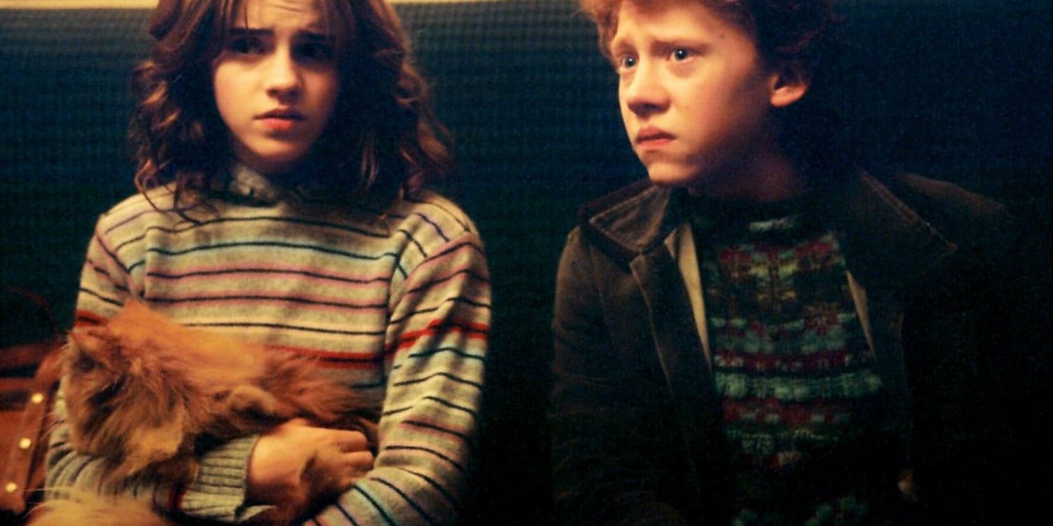 Harry Potter 20 Strange Things About Hermione That Make No Sense