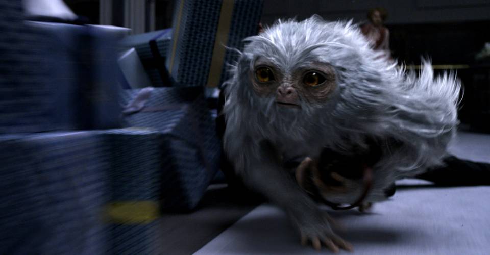 Fantastic Beasts And Where To Find Them Gets A Japanese Trailer