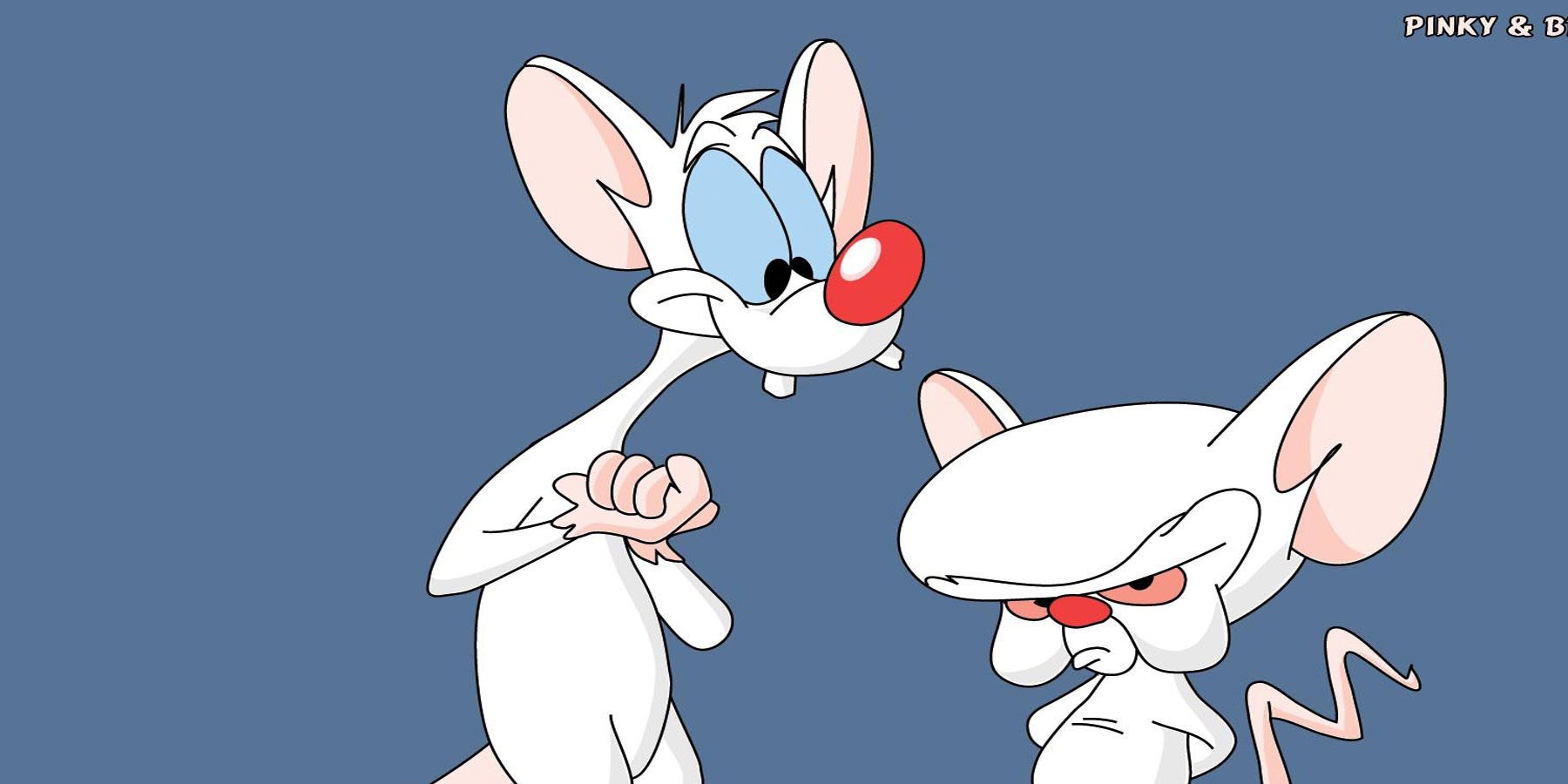 14 Pinky And The Brain.