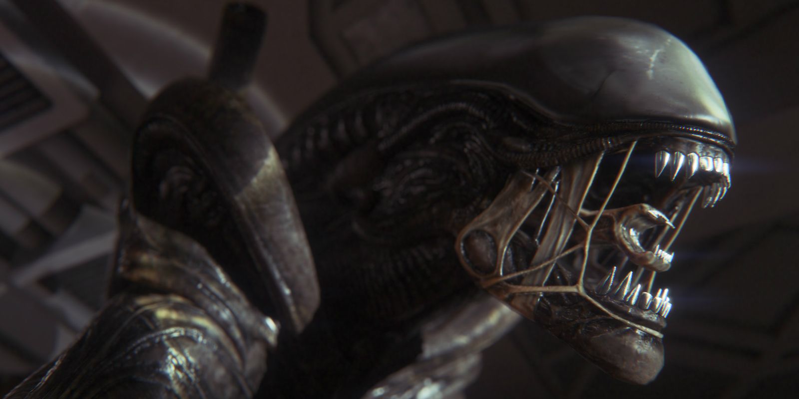 Alien Covenant Leaked Set Photos Reveal New Xenomorph