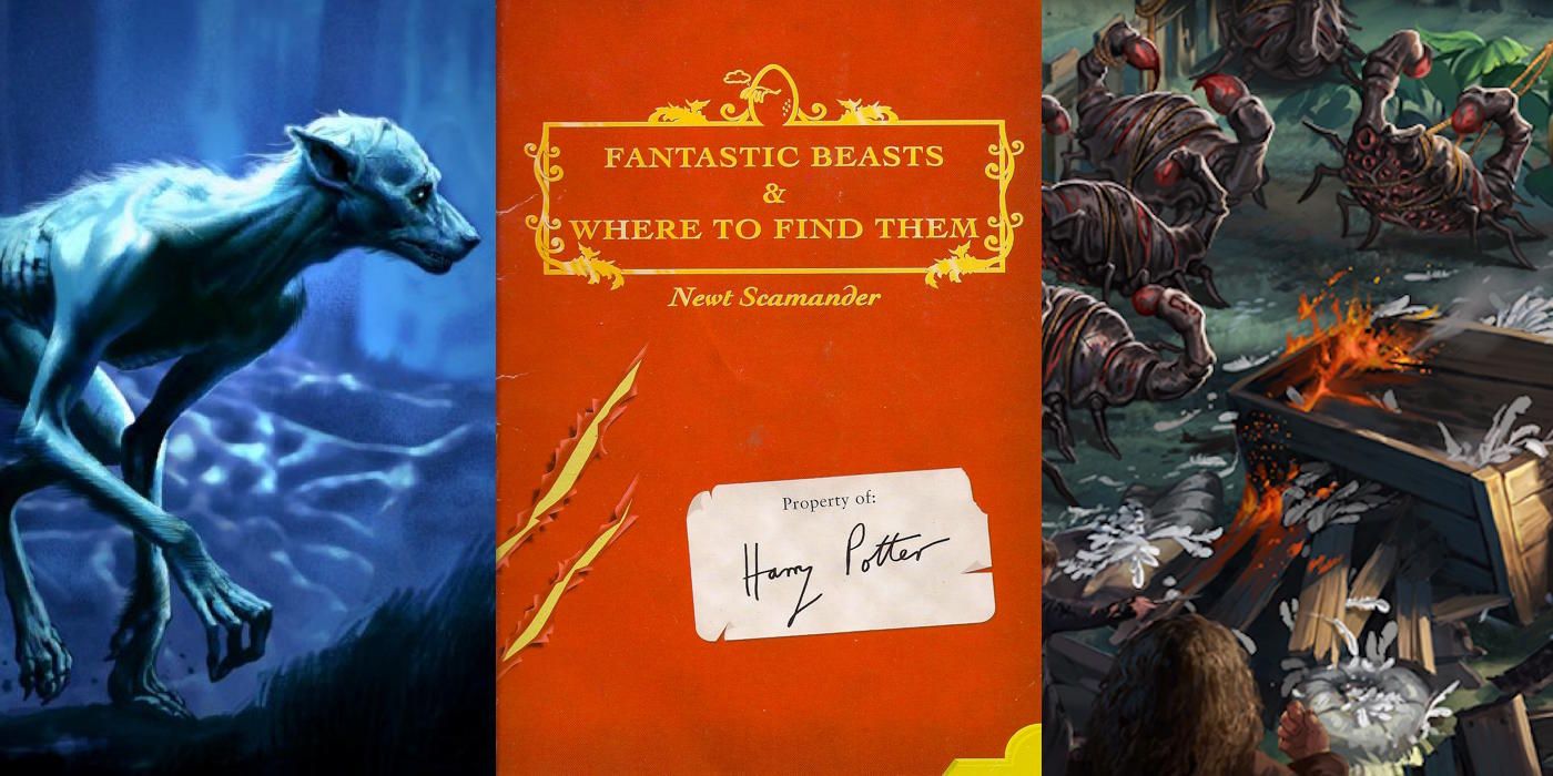 Harry Potter 15 Things You Didnt Know About Newt Scamander