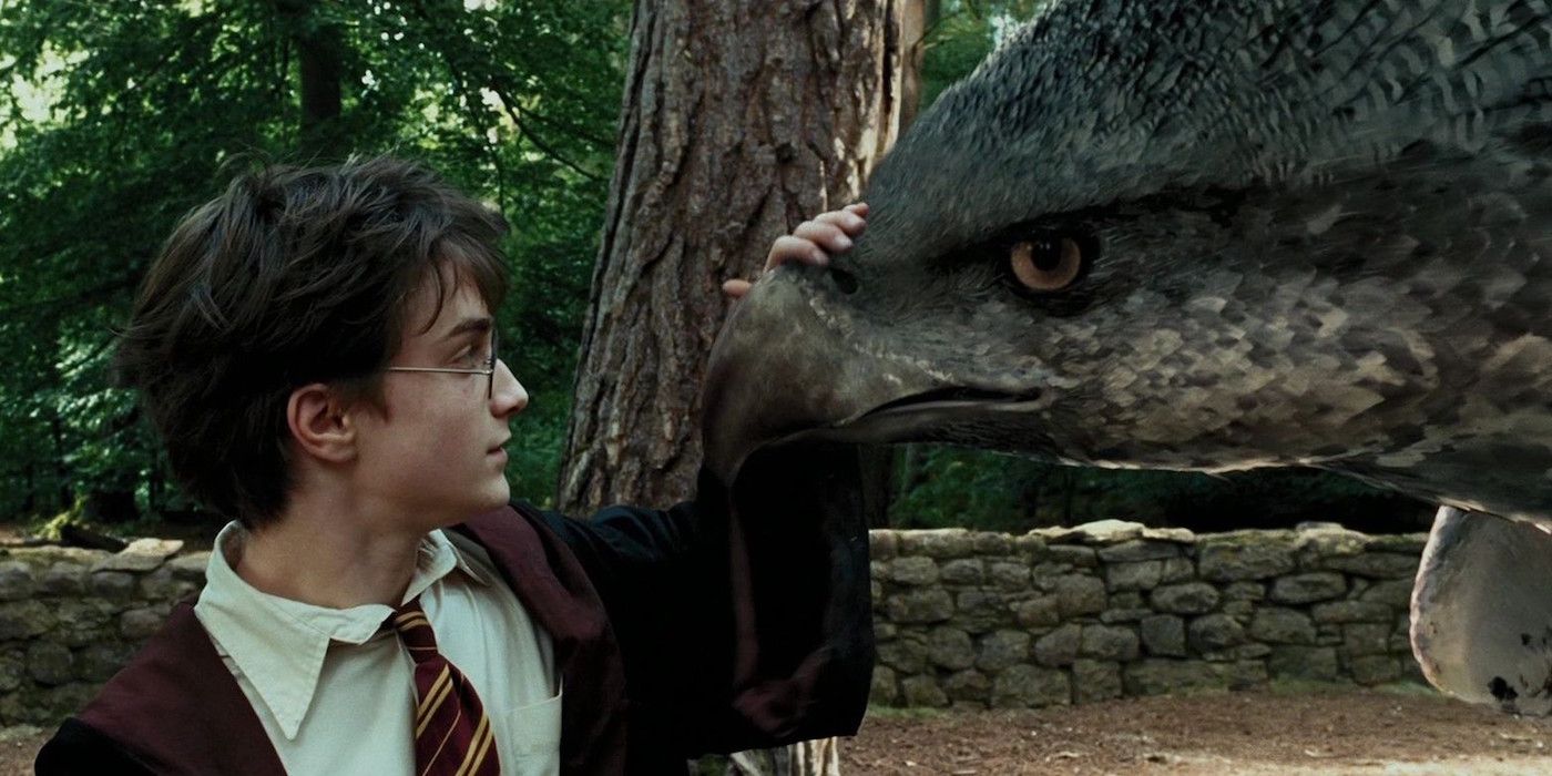 Harry Potter 10 Things You Didn’t Know About Buckbeak