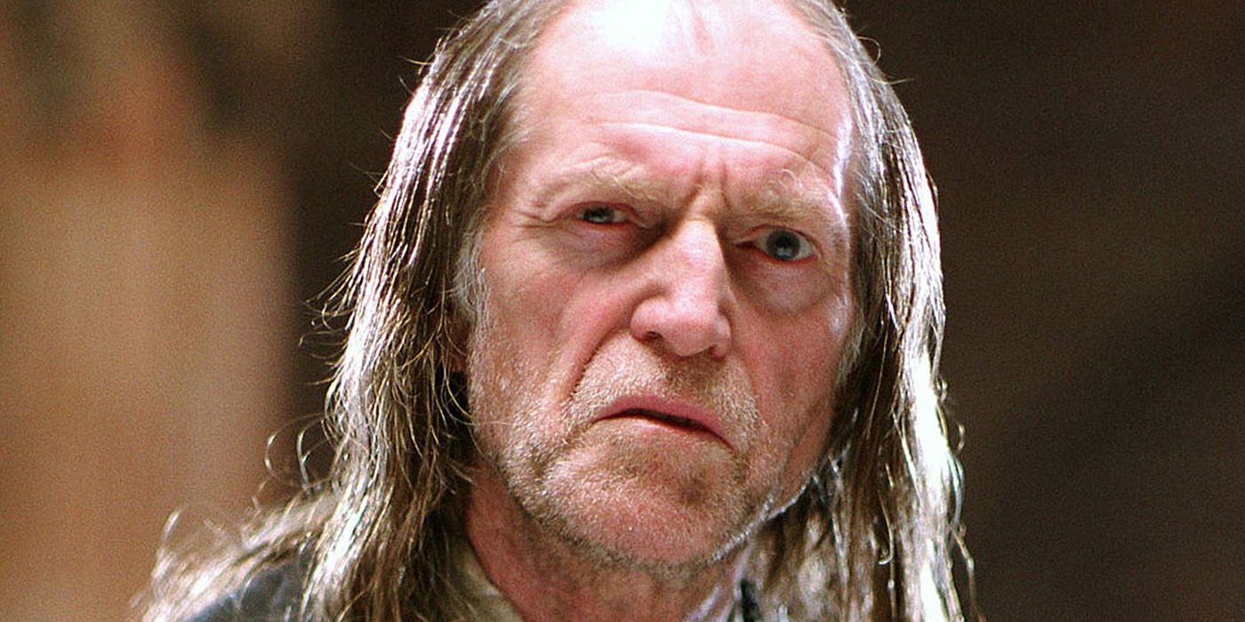 Harry Potter 15 Things You Never Knew About Filch (And Mrs Norris)