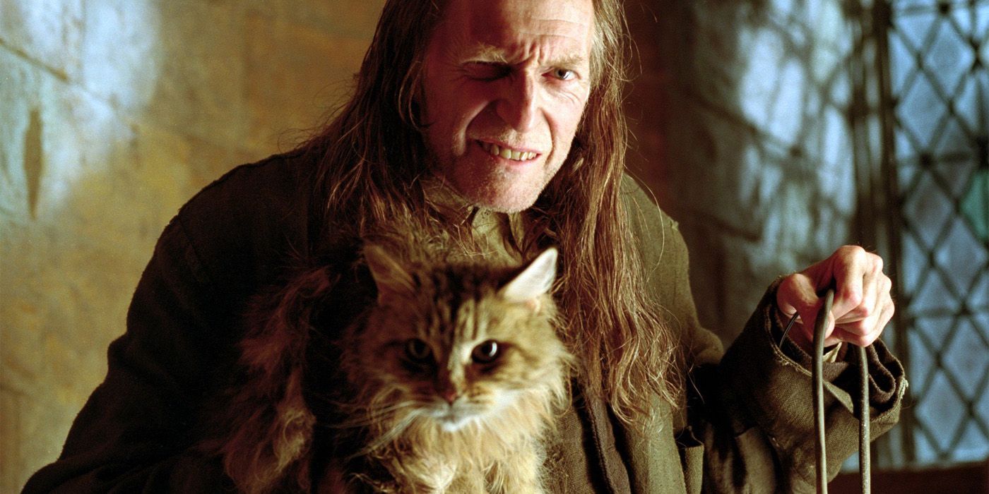 Harry Potter 15 Things You Never Knew About Filch (And Mrs Norris)