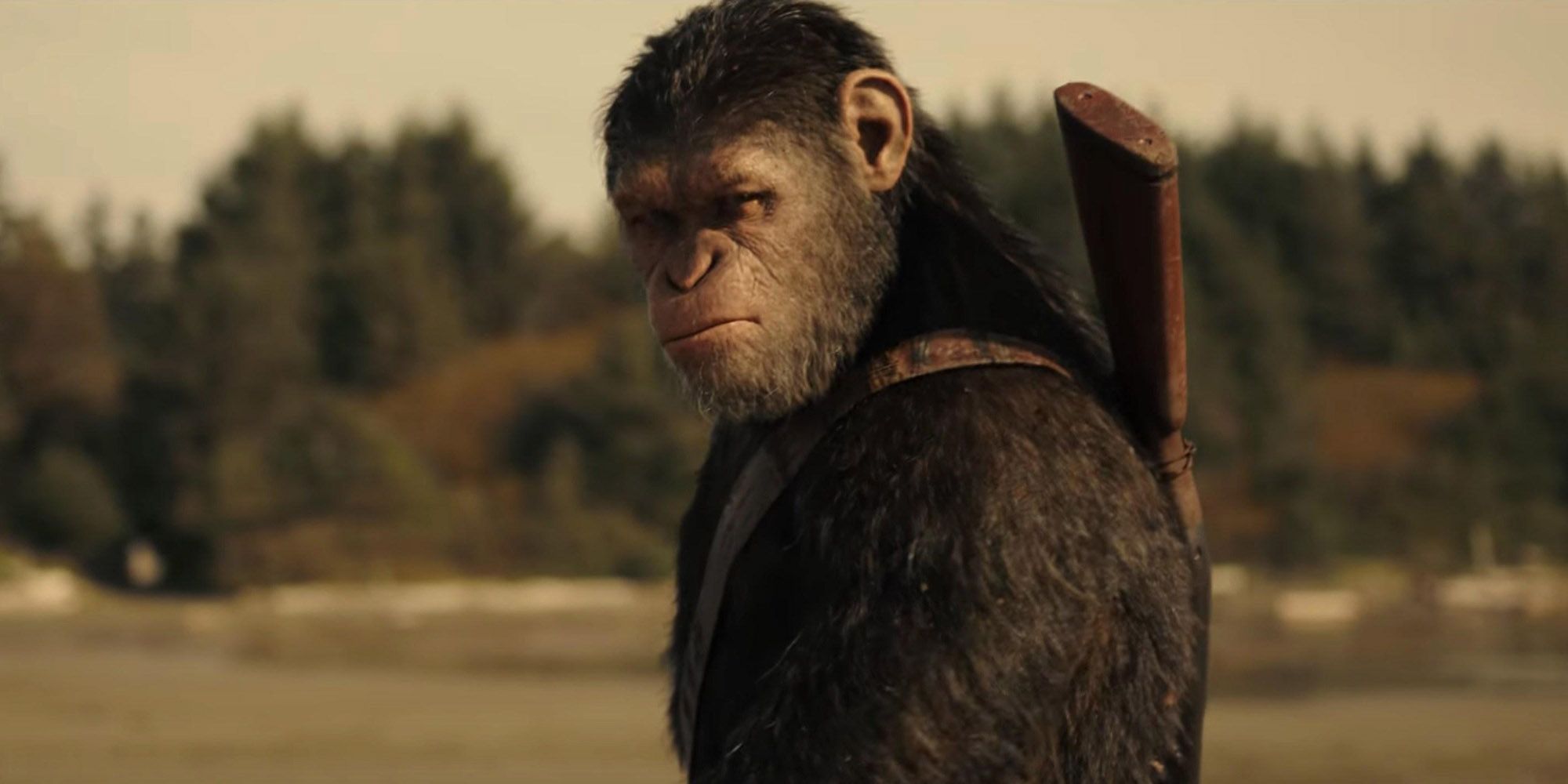 Andy Serkis 10 Best Roles Ranked