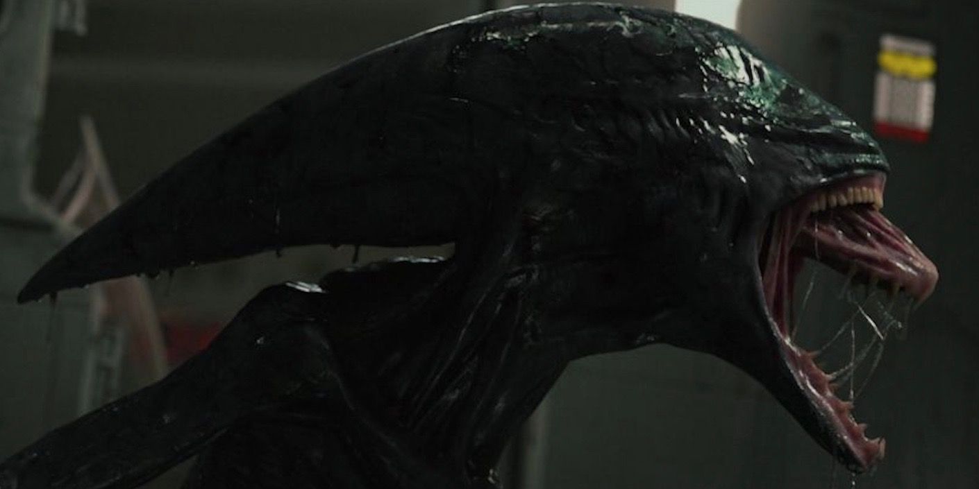 Prometheus’ Deacon Xenomorph Is The Key To Alien Biology