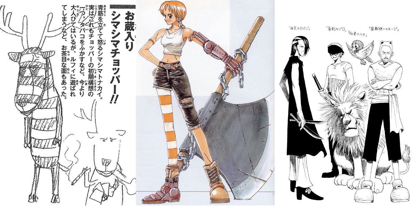 15 Things You Didnt Know About One Piece Wechoiceblogger