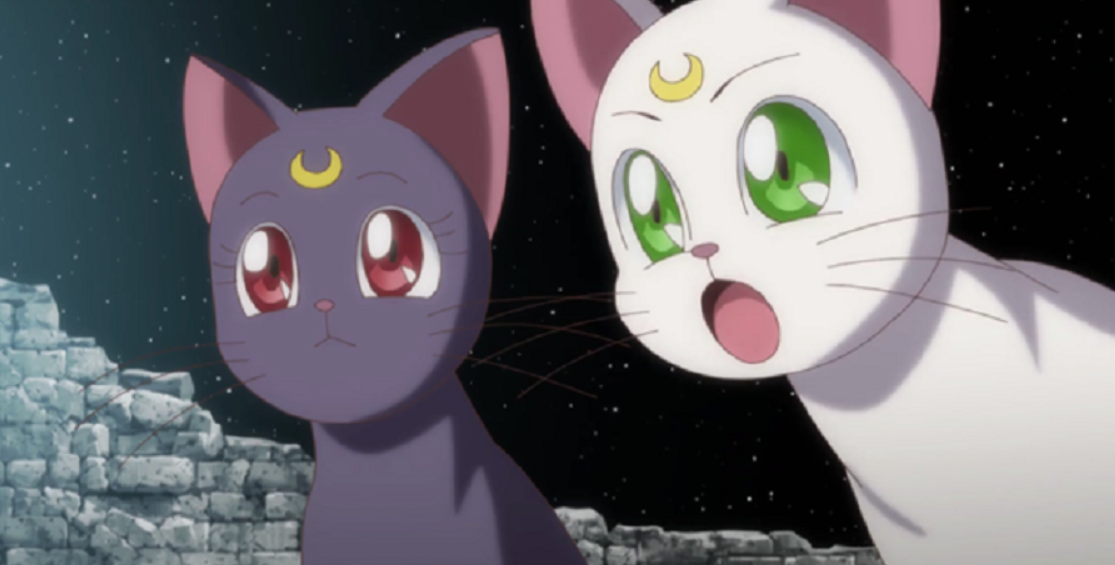 Sailor Moon 15 Things You Didn T Know About Luna And Artemis