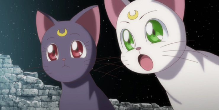 Sailor Moon 15 Things You Didn T Know About Luna And Artemis Sailor Moon 15 Things You Didn T Know About Luna And Artemis