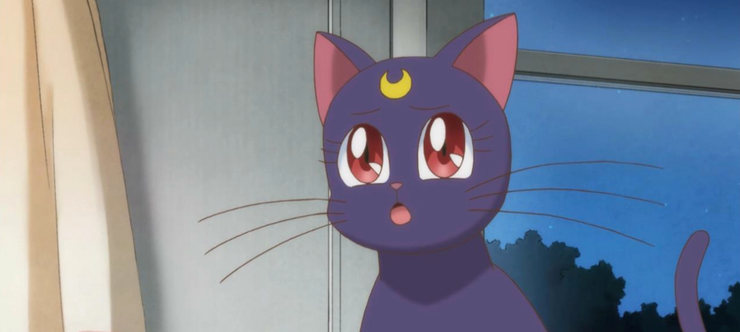 Sailor Moon 15 Things You Didn T Know About Luna And Artemis Sailor Moon 15 Things You Didn T Know About Luna And Artemis