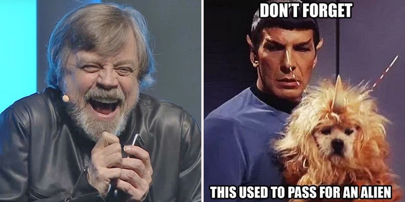 Funny Memes That Show Star Wars Is Better Than Star Trek