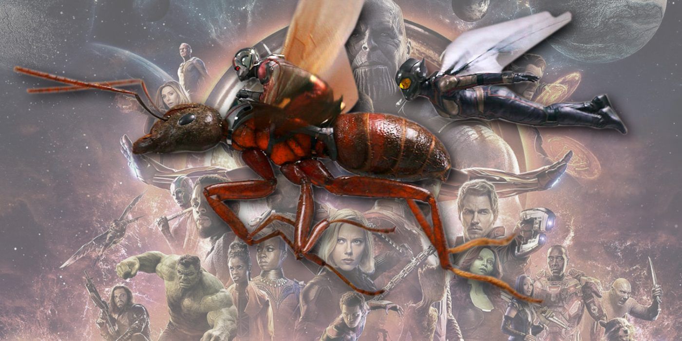 Why AntMan & Wasp Werent In Avengers Infinity War