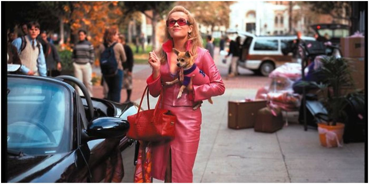 15 Crazy Secrets Behind The Making Of Legally Blonde