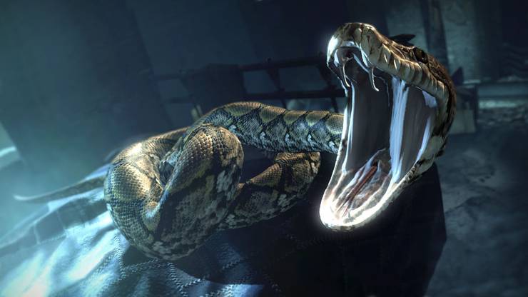 5 Facts About Nagini Made Canon After Fantastic Beasts And 5 Questions They Raised