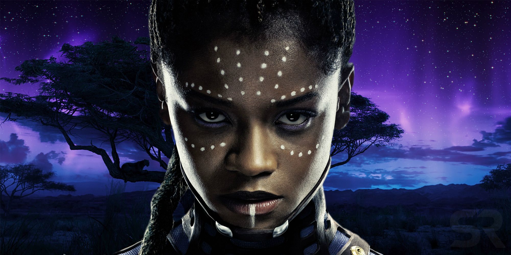 a black panther novel shuri