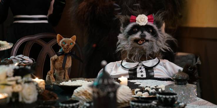 Кристин Макконелл