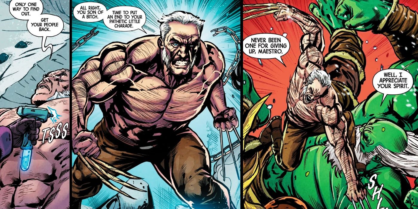 10 Things Only Comic Book Fans Know About Wolverine & Hulks Rivalry