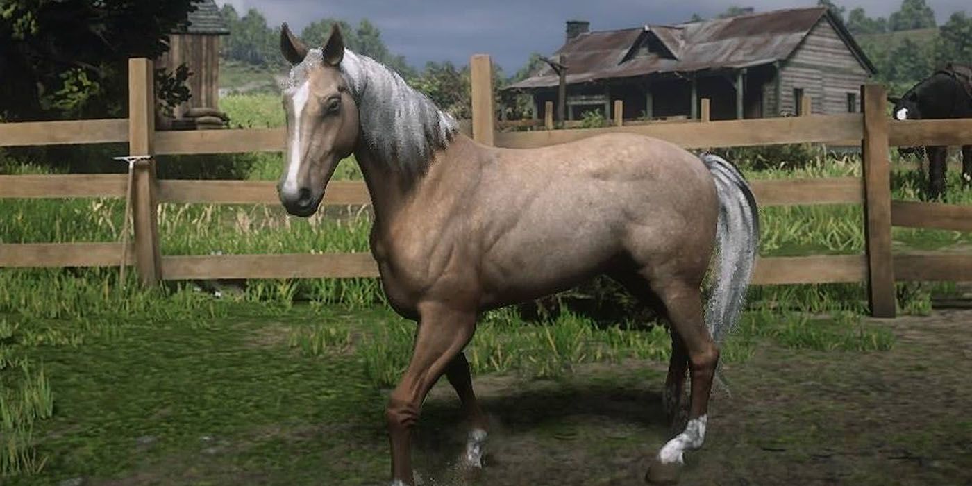 Red Dead Redemption 2s Horses Ranked From Worst To Best