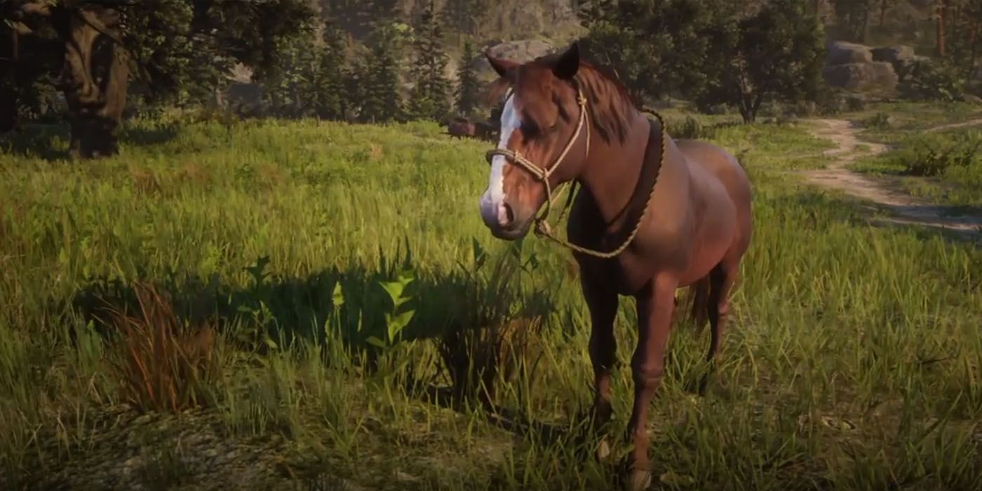 Red Dead Redemption 2s Horses Ranked From Worst To Best