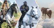 Red Dead Redemption 2 19 Horses Ranked Worst To Best