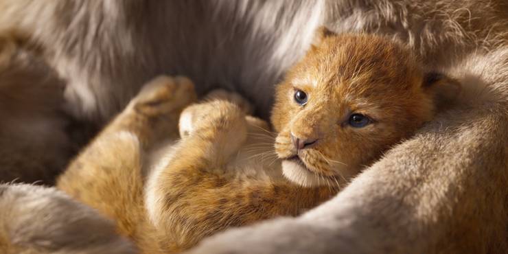 La bande-annonce du Roi Lion Bébé Simba