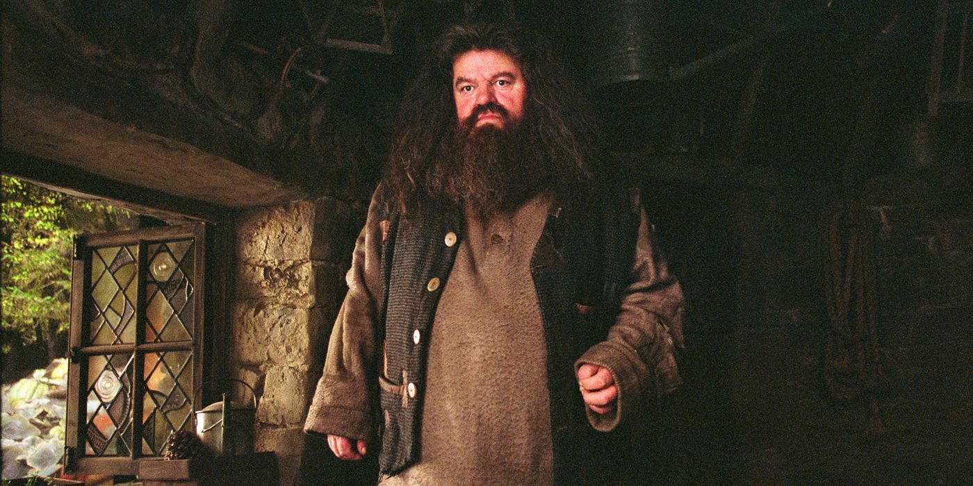 Rubeus Hagrid standing in his cabin