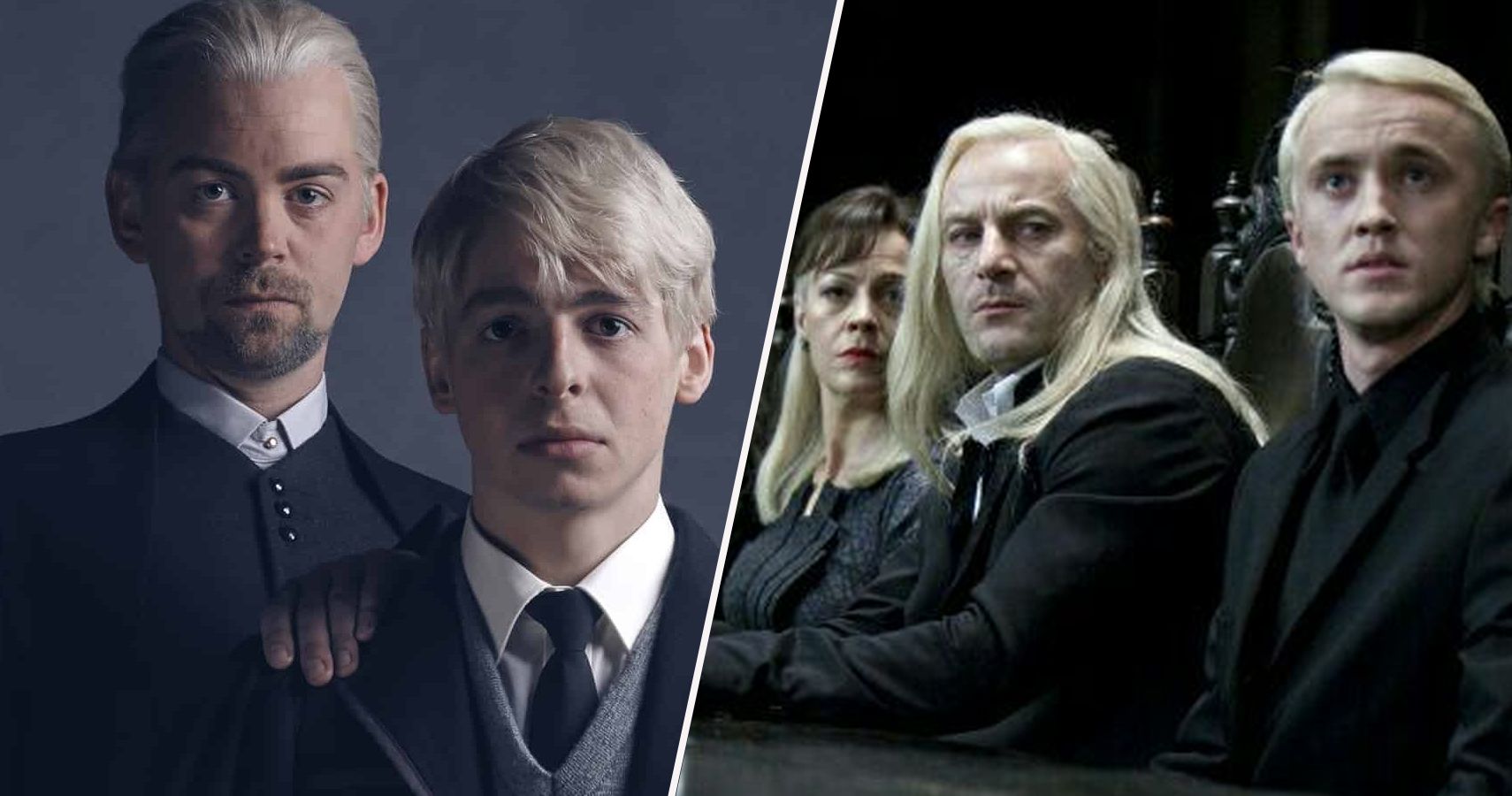 Harry Potter 10 Things Only Book Fans Know About The Malfoys
