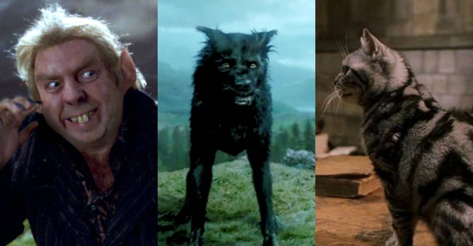 10 Little-Known Facts About Animagus In The Harry Potter Universe