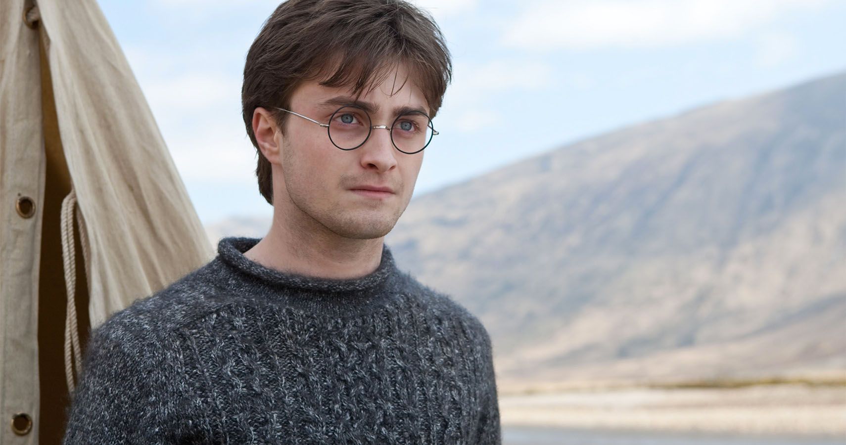 Harry Potter Characters Who Share Your MTBI® | ScreenRant