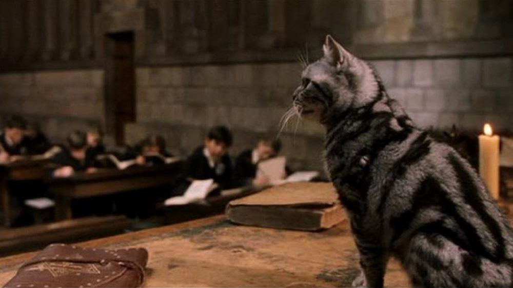 10 LittleKnown Facts About Animagus In The Harry Potter Universe