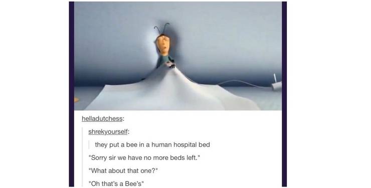 10 Hilarious Bee Movie Memes Screenrant