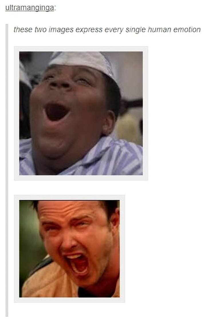 Breaking Bad 10 Hilarious Jesse Pinkman Screaming Memes