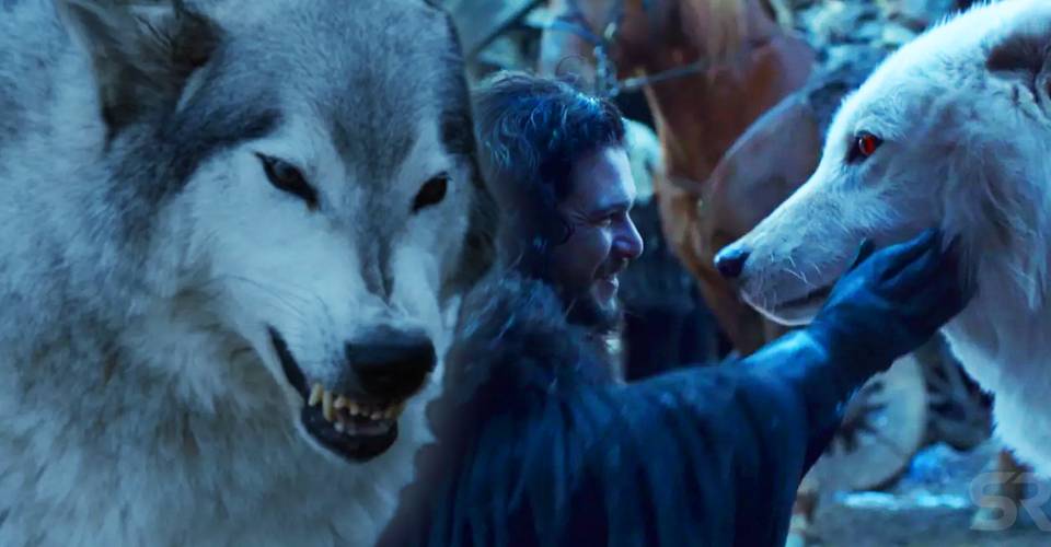 Game Of Thrones Ending The Fates Of All Stark Direwolves Explained
