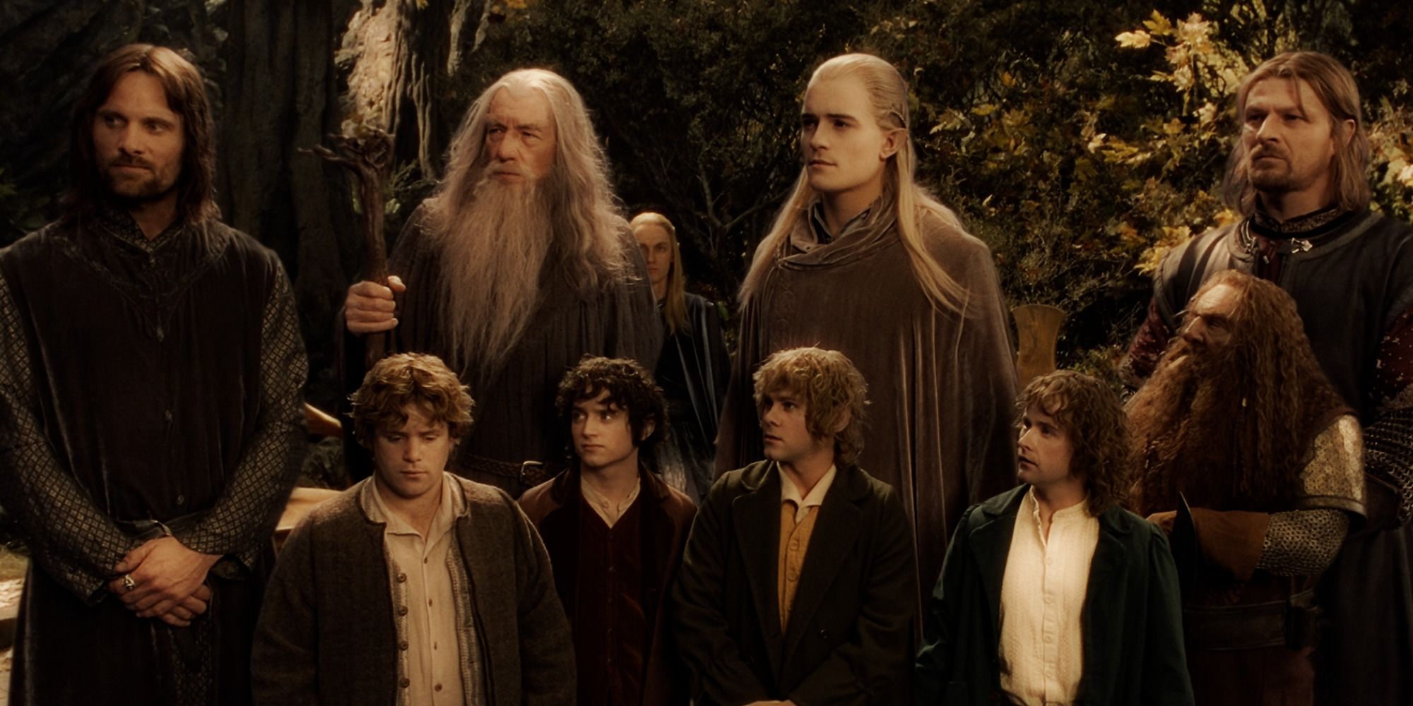 The Fellowship in The Lord of the Rings The Followship of the Ring