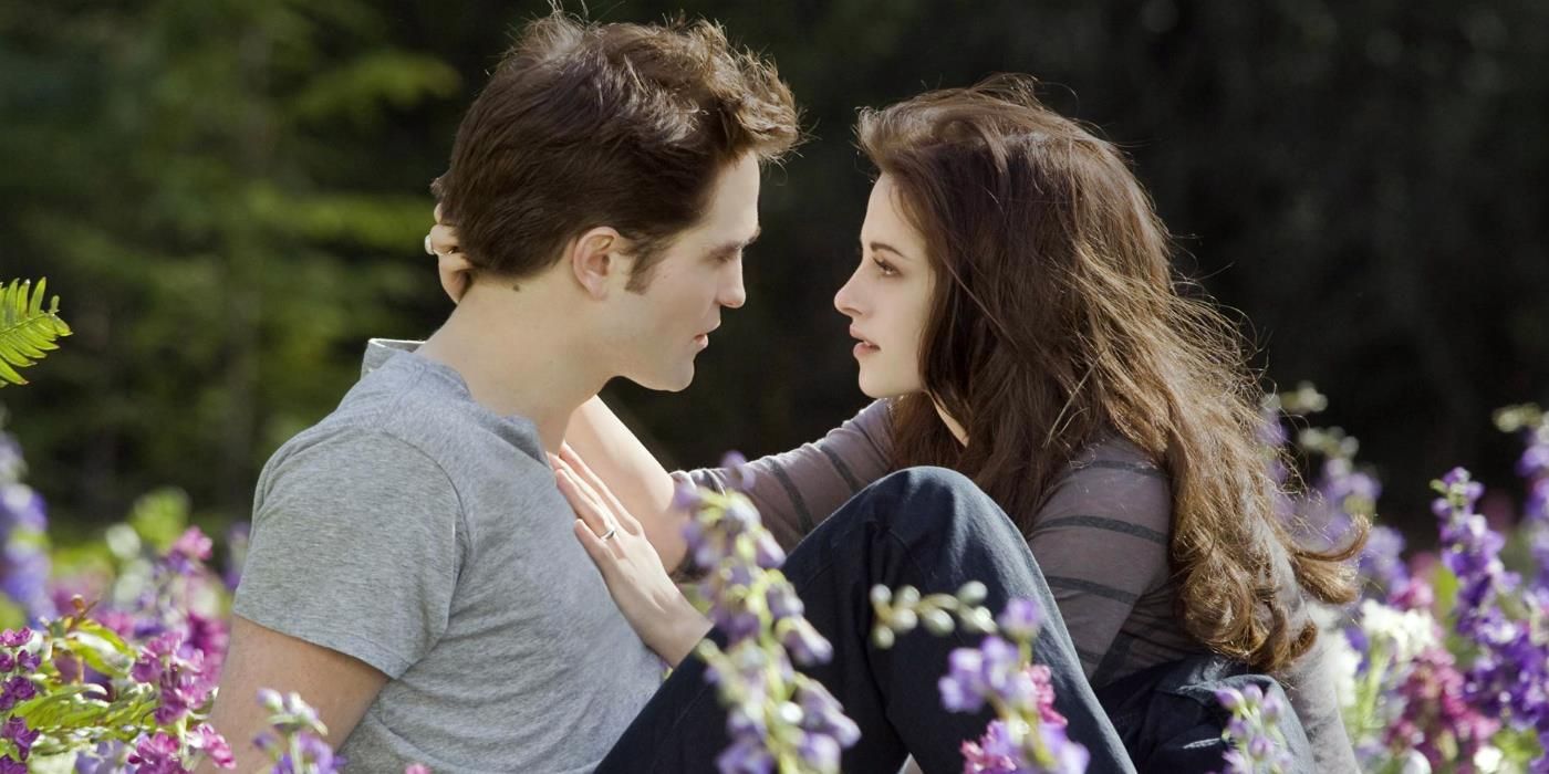 Twilight All the Boyfriends Ranked From Worst to Best