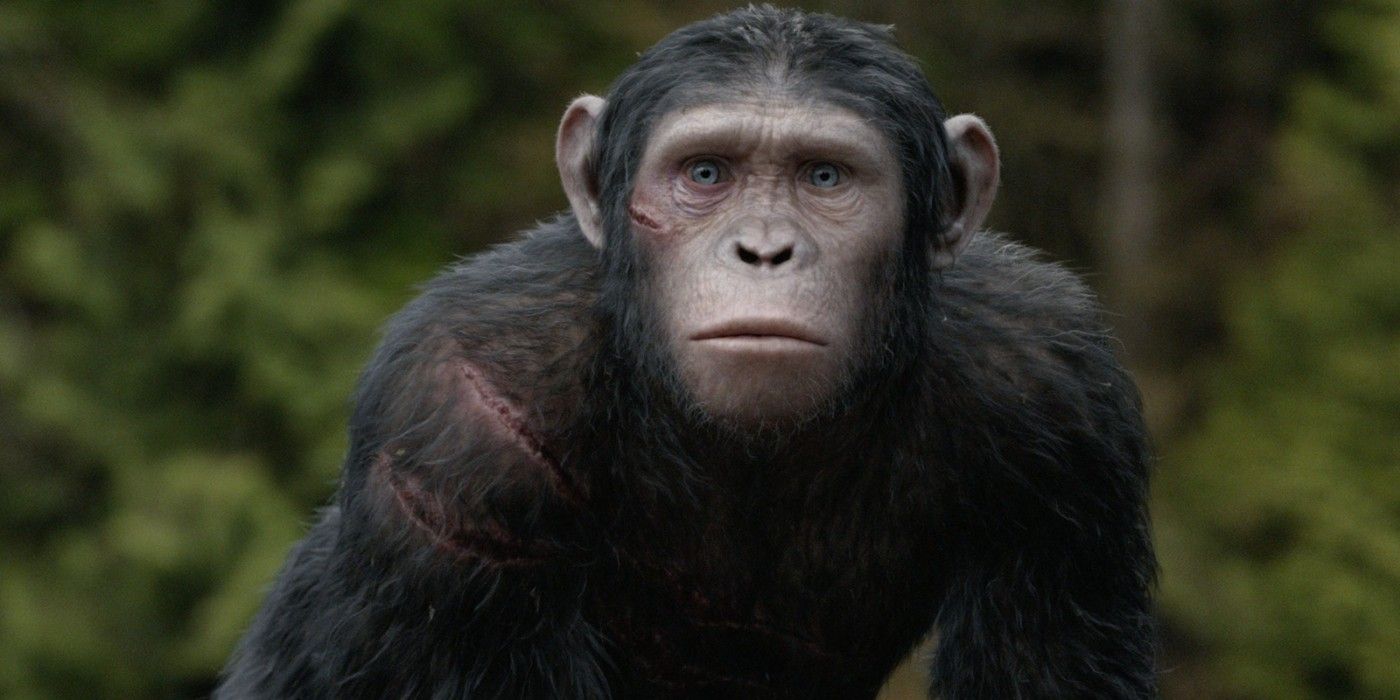 planet of the apes blue eyes