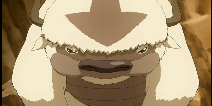 avatar appa bean bag