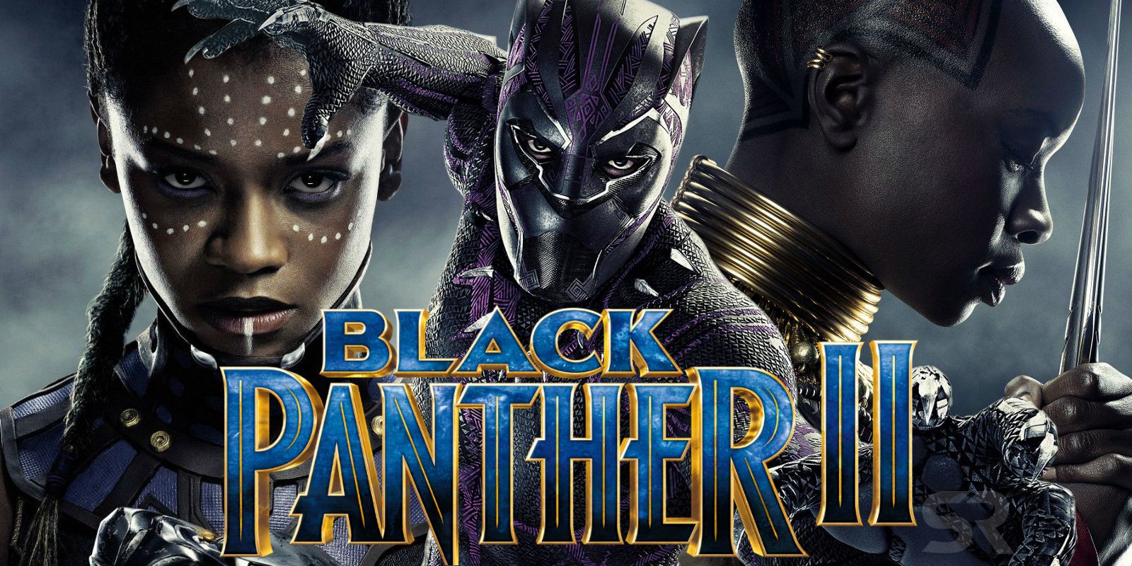 Image result for black panther 2