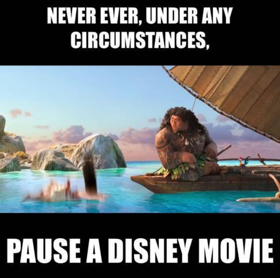 10 Hilarious Moana Memes That Are Too Funny Screenrant 10 Hilarious Moana Memes That Are Too Funny Screenrant