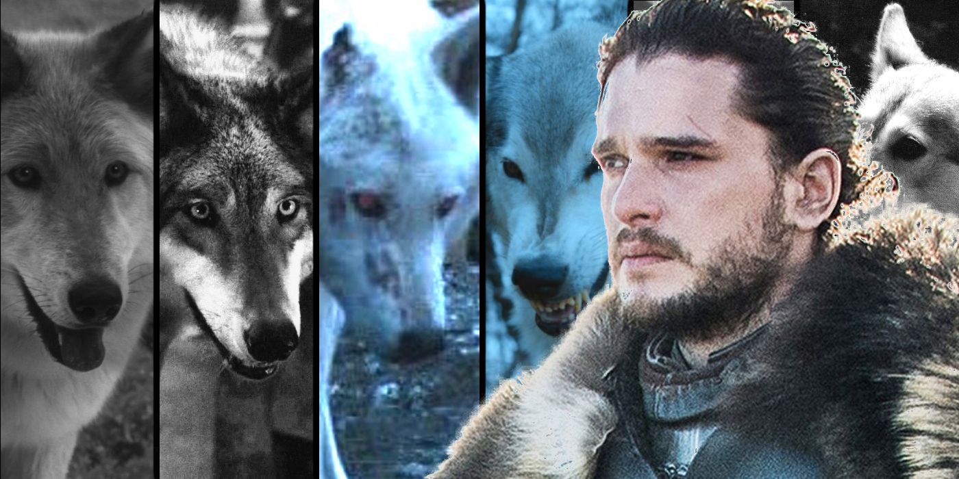 Game Of Thrones’ Biggest Failure Was Changing The Direwolves