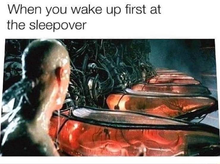 10 Matrix Memes That Ll Have You Laughing Your Way To The Real World
