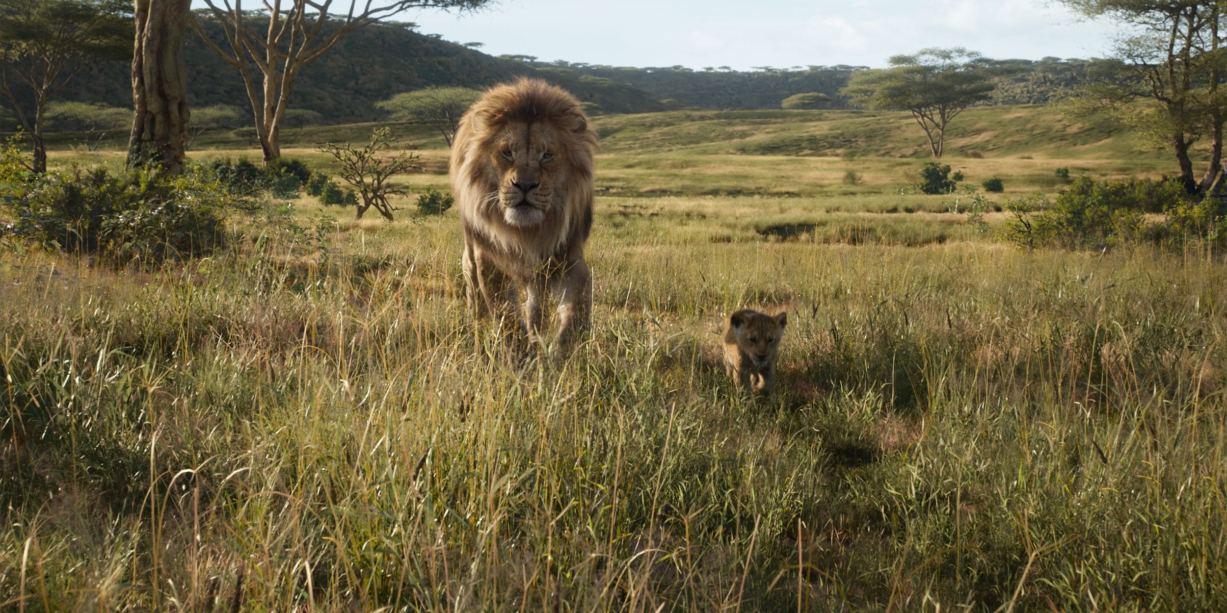 Everything You Need To Know About The Lion King 2