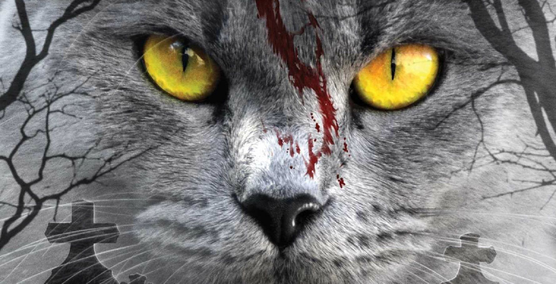 Pet Sematary: 10 Hidden Details Everyone Completely Missed