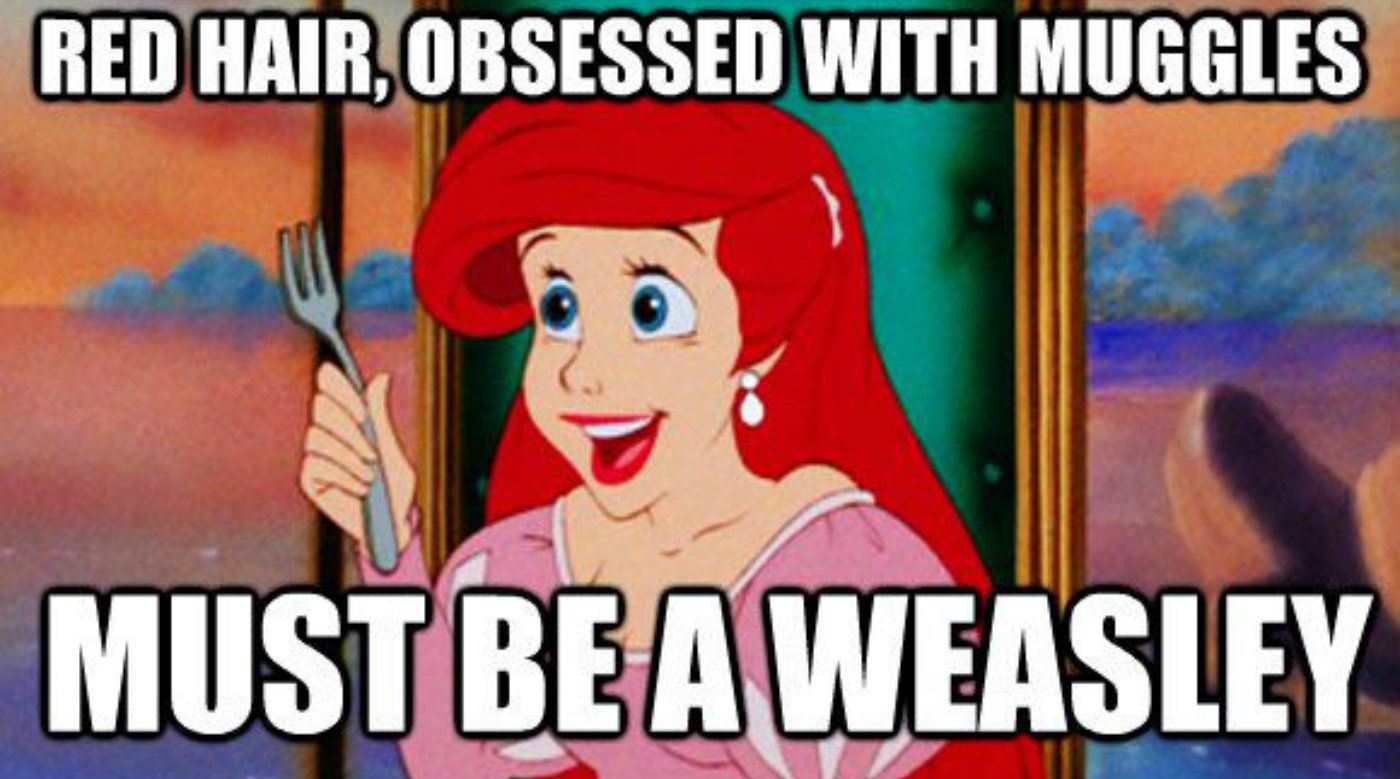 10 Little Mermaid Logic Memes That Are Too Hilarious For Words Wechoiceblogger