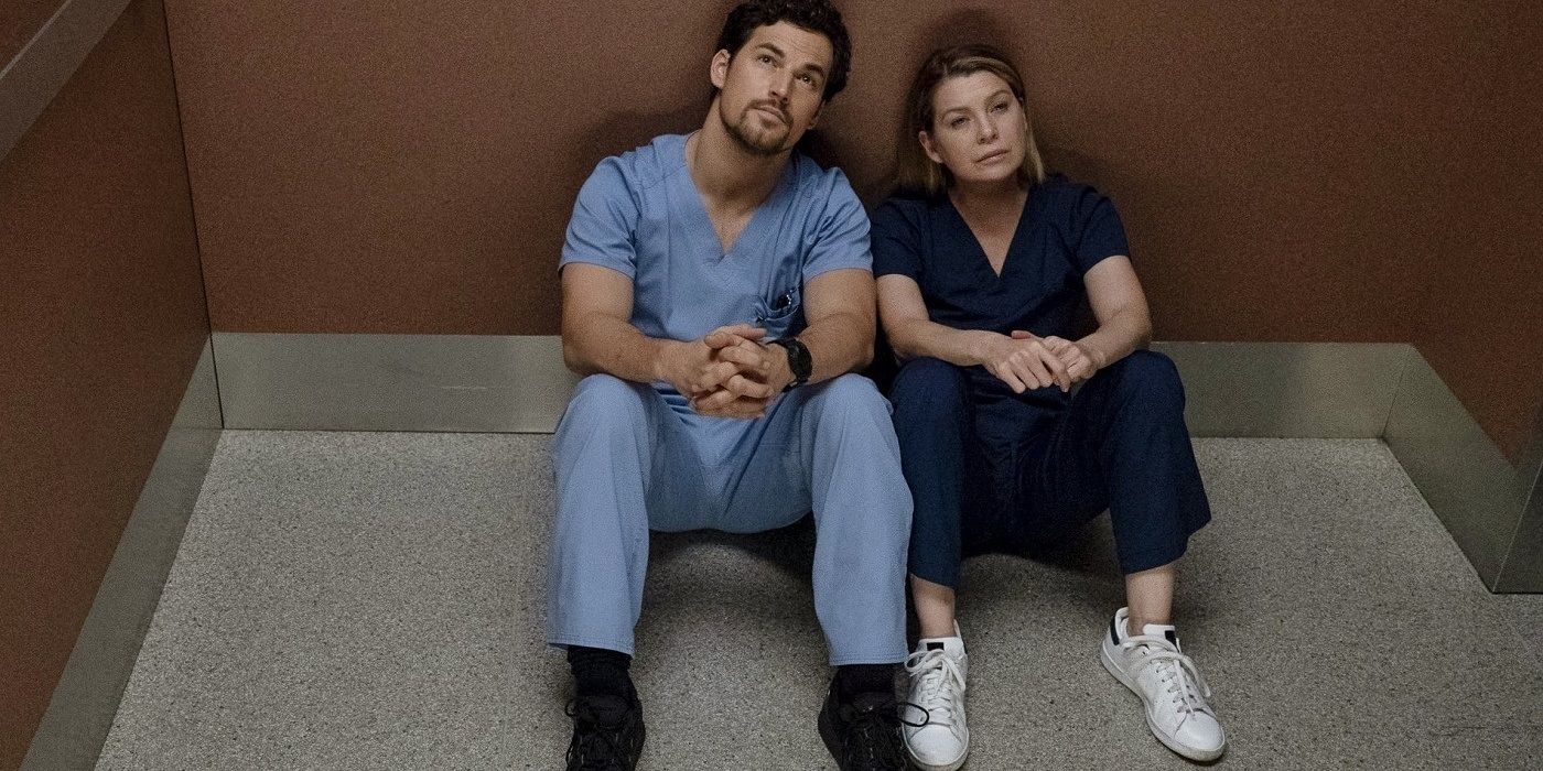 Greys Anatomy 5 Ways DeLuca Is Perfect For Meredith (& 5 Hayes Is)