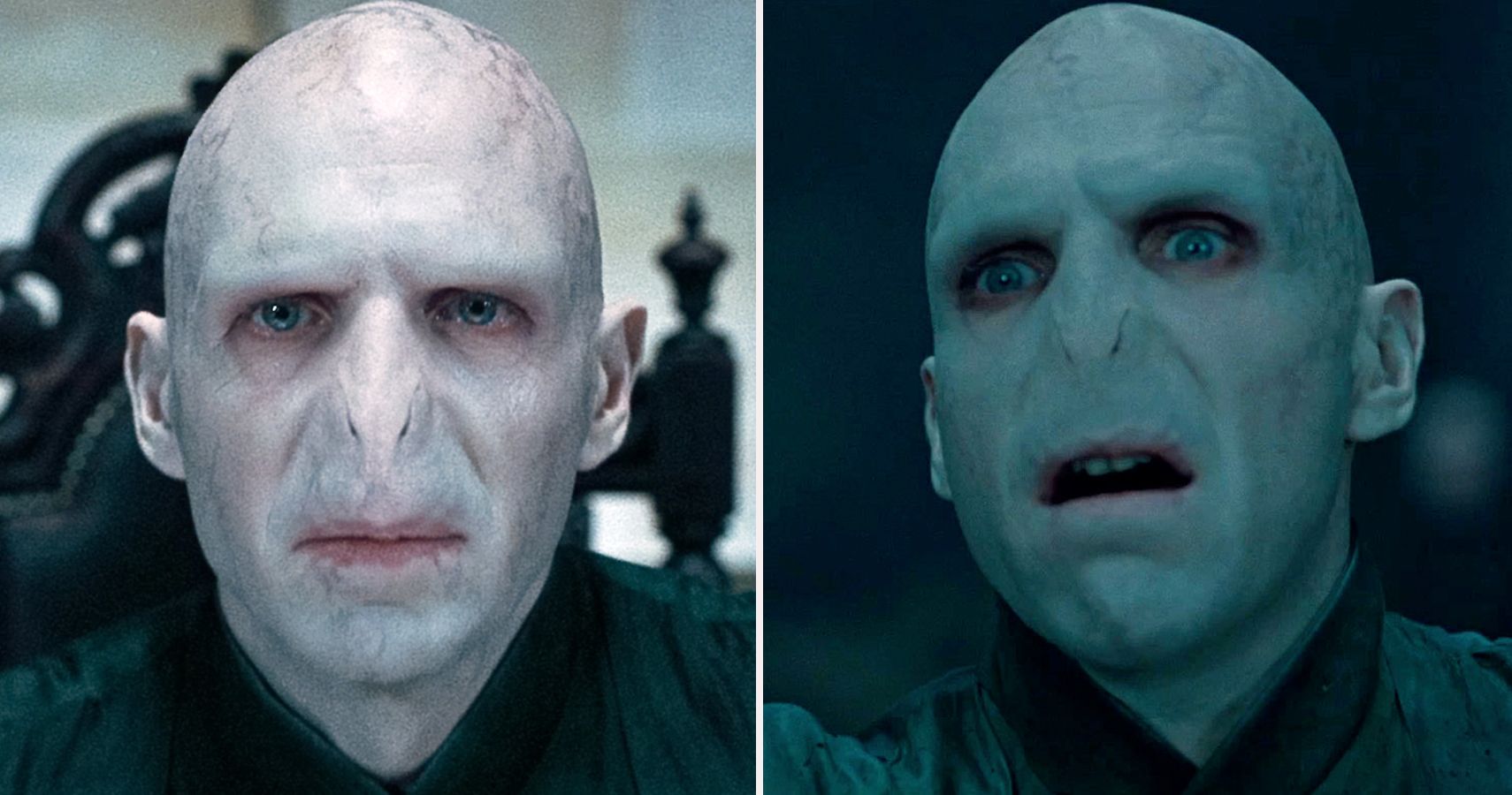 Featured image of post Funny Harry Potter Memes Voldemort
