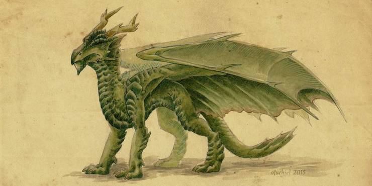 Harry Potter All 10 Dragons In The Wizarding World Screen Rant
