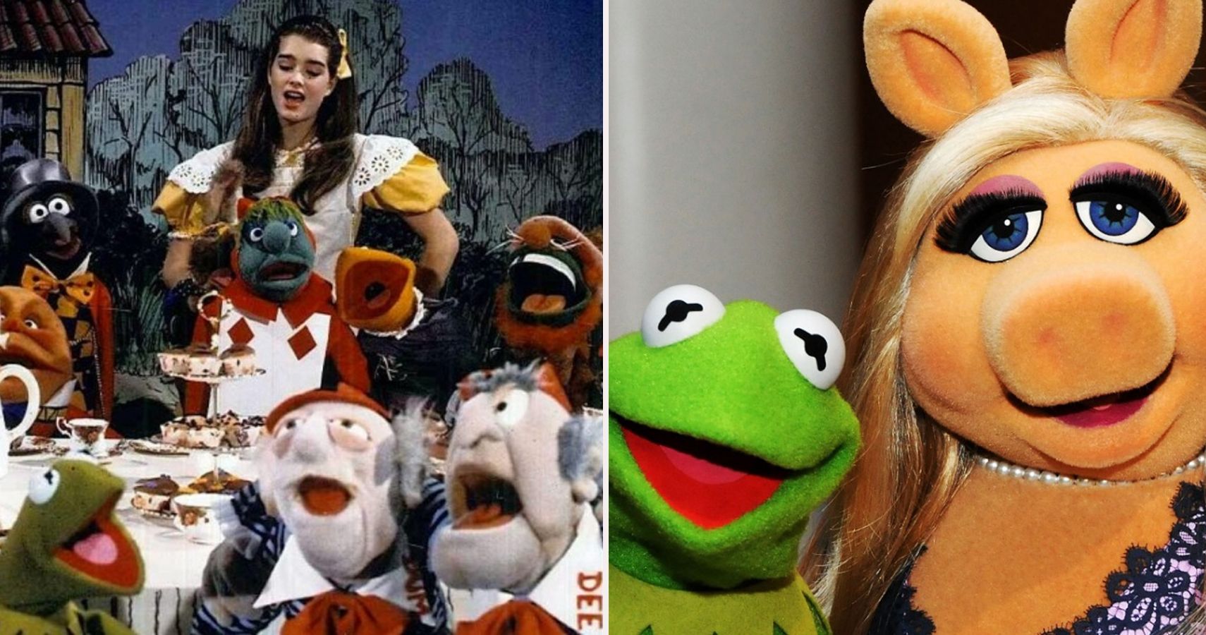 The Muppets: 10 Crossover Stories We Want To See On Disney Plus