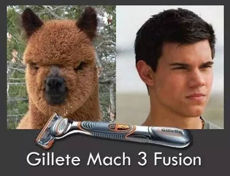 Twilight 10 Hilarious Jacob Memes That Are Too Funny